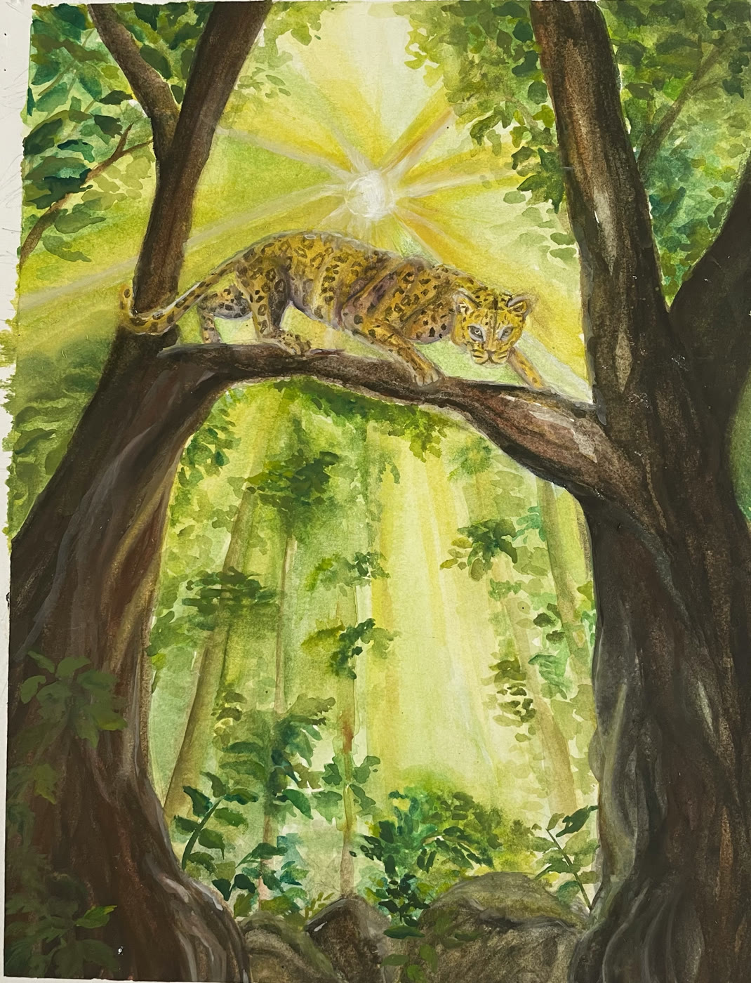 Watercolor of a leopard crouched on a branch in a sunlit forest